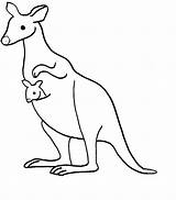 Kangaroo Clipart Clip Drawing Coloring Pages Outline Kids Cliparts Color Kangaroos Baby Printable Library Animal Animals Designs Simple Hostted Cliparting sketch template