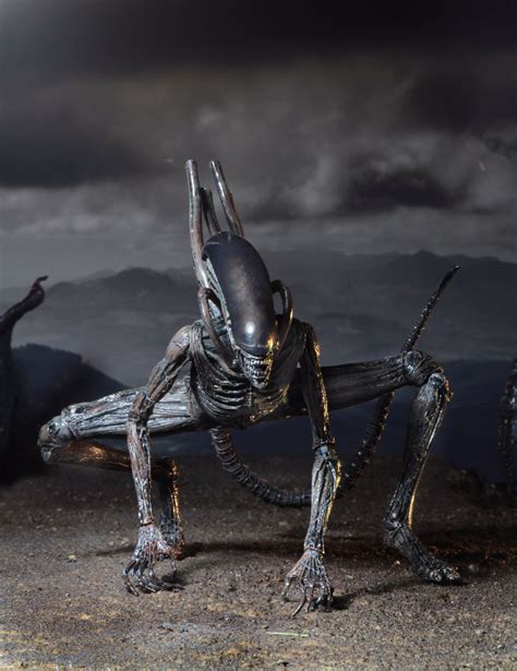 neca alien covenant xenomorph action figure actionfiguresdailycom