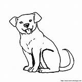 Coloring Puppy Labrador Pages Dodge Charger Car 2920 Animals Daytona 1969 Browser Ok Internet Change Case Will sketch template