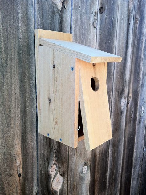 bluebird nesting box bluebird birdhouse