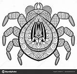 Zentangle Pages Coloring Clipartmag Spider sketch template