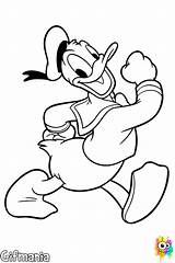 Para Disney Coloring Colorear Pages Dibujos Donald Duck Pato Dibujar Imagenes Mickey Dibujo Color Leon Guardado Desde sketch template