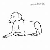 Lying Paintingvalley Designlooter Labrador sketch template