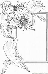 Coloring Lily Pages Flowers Coloringpages101 Color sketch template