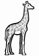Giraffe Girafa Girafas Openclipart Lineart Clipartmag Amordepapeis sketch template