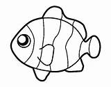 Colorear Pez Dibujo Fish Coloring Choose Board Pages sketch template