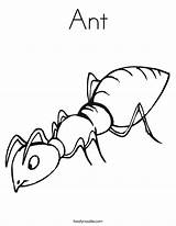 Ant Ants Coloringhome sketch template