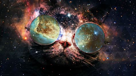 wallpaper illustration cat galaxy planet glasses nebula