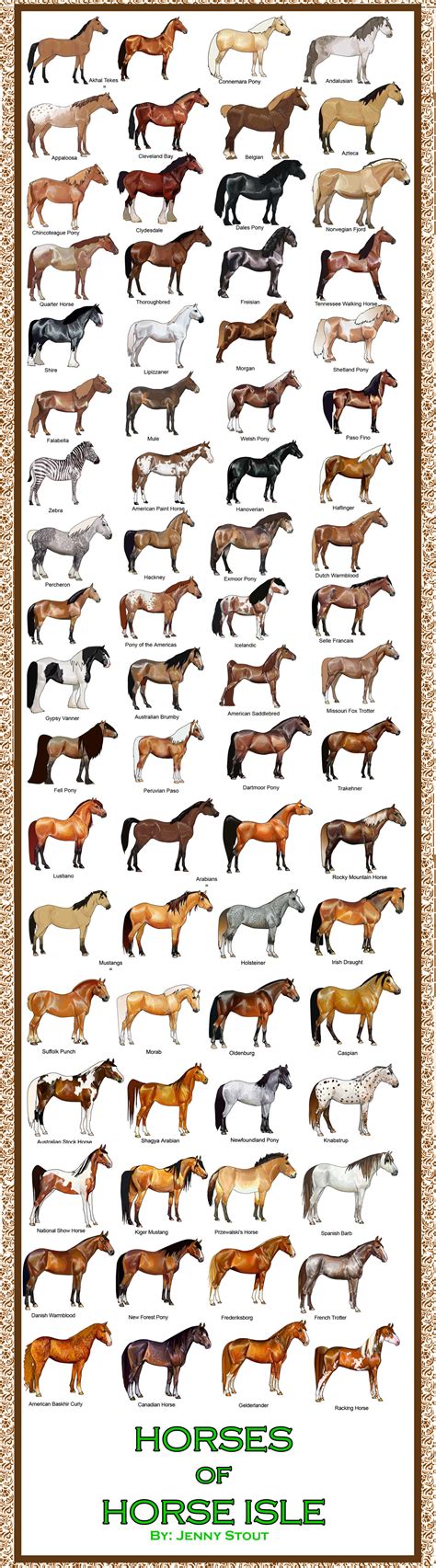 breed chart horseisle    eponadraws  deviantart