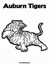 Lsu Auburn Tigers Coloringhome Colouring Alabama sketch template