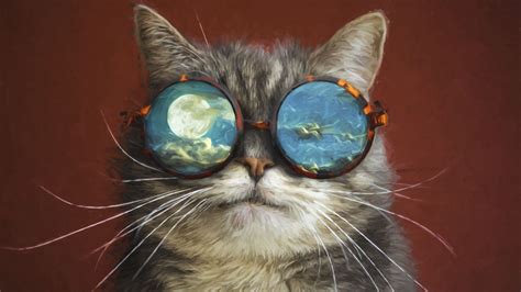desktop wallpaper funny sunglasses cat s muzzle 4k hd image