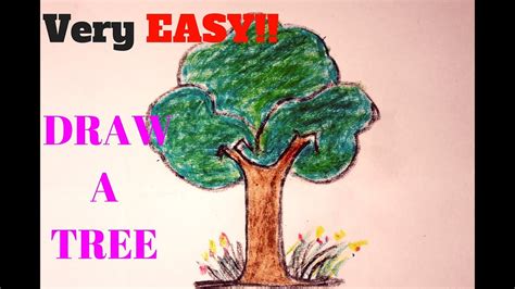 draw  tree   draw  tree  kids  easy step  step