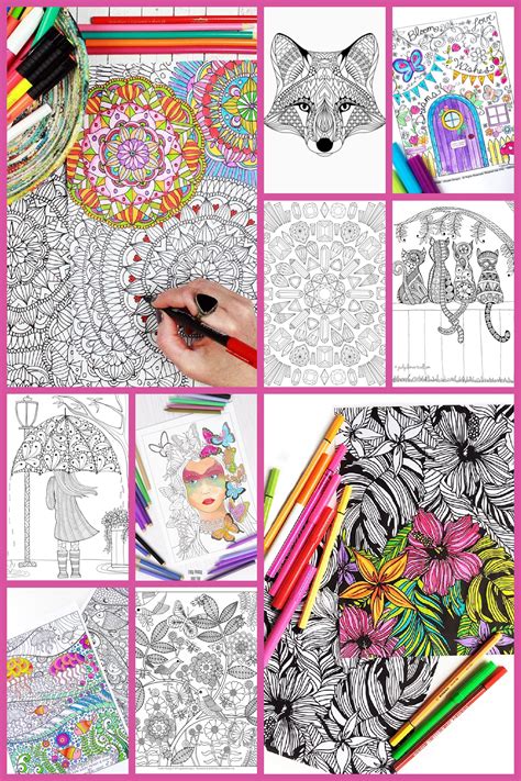 color  coloring pages