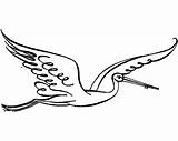 Stork Storch Cigogne Cegonha Coloriage Fliegender Voando Bocian Gleitflug Ausmalbild Ausmalbilder Anmutiger Cliparts Supercoloring Druku Pintar Malvorlagen Vorlage Locie Biały sketch template