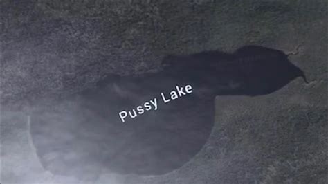 Pussy Lake Youtube