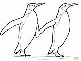 Penguin Coloring King 61kb 1500 sketch template