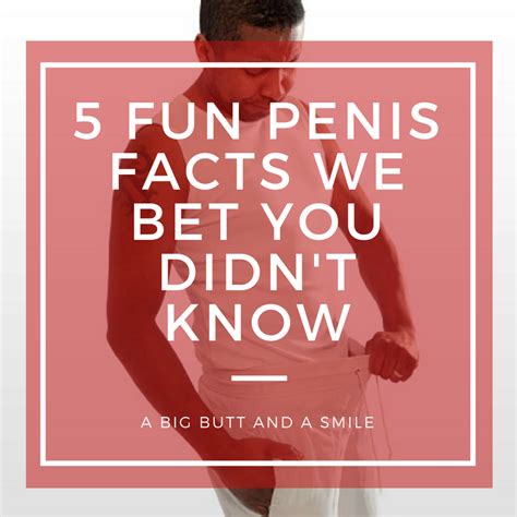 5 fun penis facts we bet you didn t know a big butt and a smile