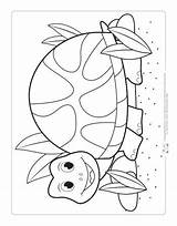 Coloring Pets Pages Kids Turtle Color Colouring Printable Fun Itsybitsyfun Preschool Sheets While Children They Just Will Choose Board sketch template