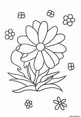 Coloriage Facile Fleur Maternelle Dessin Imprimer sketch template