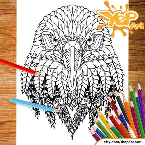 items similar  beautiful eagle adult coloring page coloring book