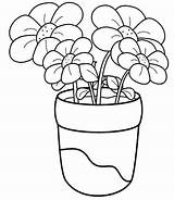 Coloring Pages Plant Kindergarten Plants Worksheets Flower Crafts sketch template