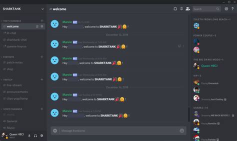 Make Your Professional Discord Server By Queen Hbci Fiverr