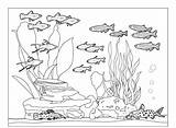 Akwarium Kolorowanki Bestcoloringpagesforkids Pets Sketchite sketch template