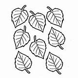 Template Birch Tree Leaf Coloring Sketch sketch template