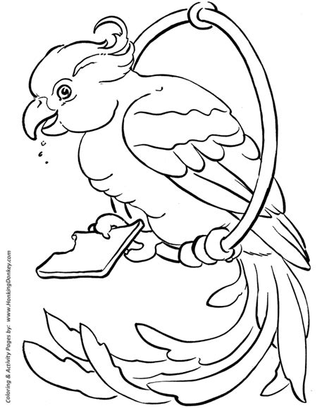 pet bird coloring pages  printable pet coloring pages