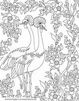 Malvorlage Ausdrucken Vögel Malvorlagen Vogel Gratis Fehlersuchbilder Erwachsene öffnen sketch template