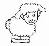Coloring Lamb Fur sketch template