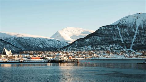 whale watching northern lights  tromso  days  nights nordic visitor