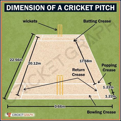 cricketgraph  instagram dimensions   cricket pitch explained