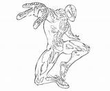 Spider Coloring Pages Ultimate Man Alliance Marvel Fist Iron Superhero Template Printable sketch template