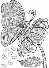 Mandalas Ausmalen Doodles Licorne Malbuch Vorlagen Erwachsene sketch template