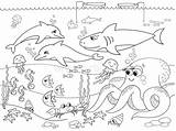 Fondale Fumetto Marini Animali Coloritura Vettore sketch template