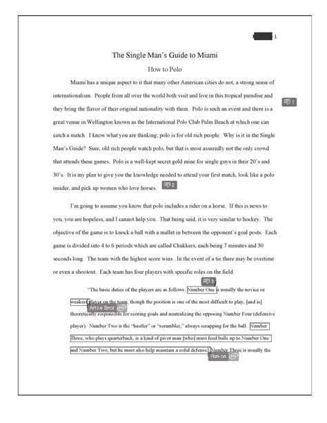 interview essay examples      template