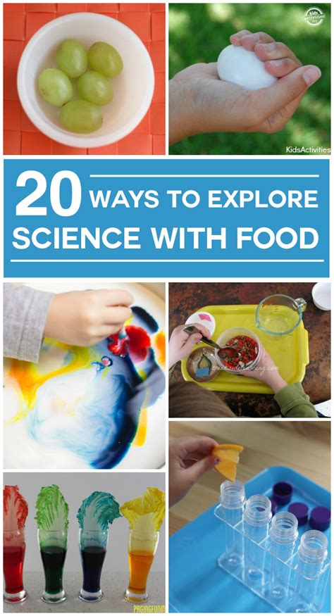 ways  explore science  food