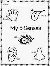 Senses Coloring Pages Five Preschool Clipart Body Kids Activities Worksheets Printable Sense Kindergarten Worksheet Parts Template Taste Learning Toddlers Teaching sketch template