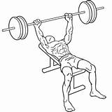 Bench Press Barbell Exercises Grip Medium Chest sketch template