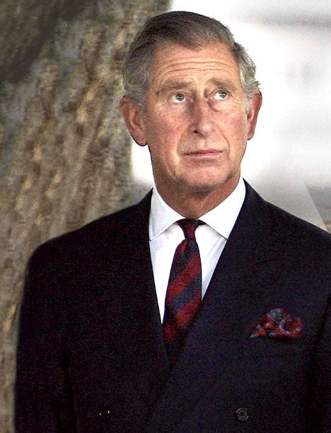 prince charles  heir  desperation daily mail