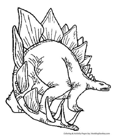 stegosaurus dinosaur coloring page dinosaur coloring pages owl