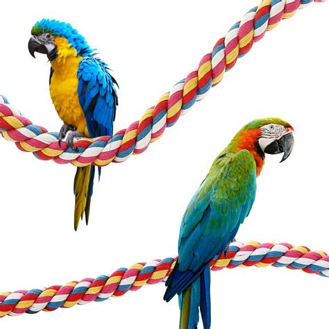 jusney bird rope perches comfy perch parrot toys