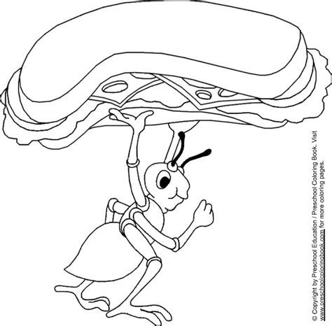 wwwpreschoolcoloringbookcom bug coloring page