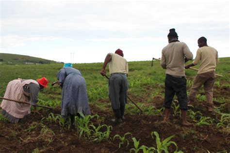 building rural sustainability  south africa farming friction