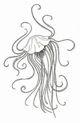Jellyfish Getdrawings Quallen Malvorlagen Amazing sketch template
