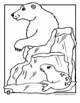 Polar sketch template