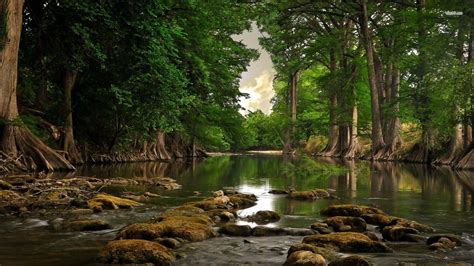 forest river wallpapers top  forest river backgrounds wallpaperaccess