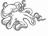 Octopus Monsters Template sketch template