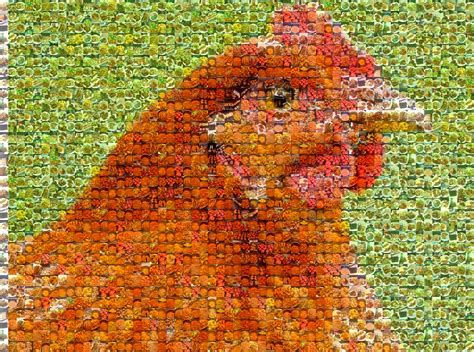 chicken photo mosaic picture mosaics